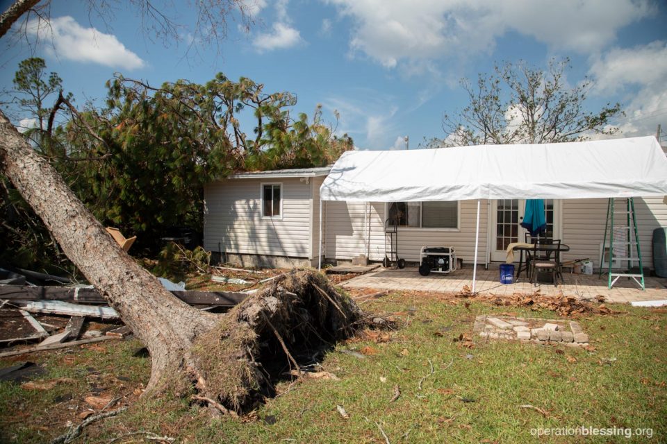 Ed's damaged home with fallen trees surrounding it.