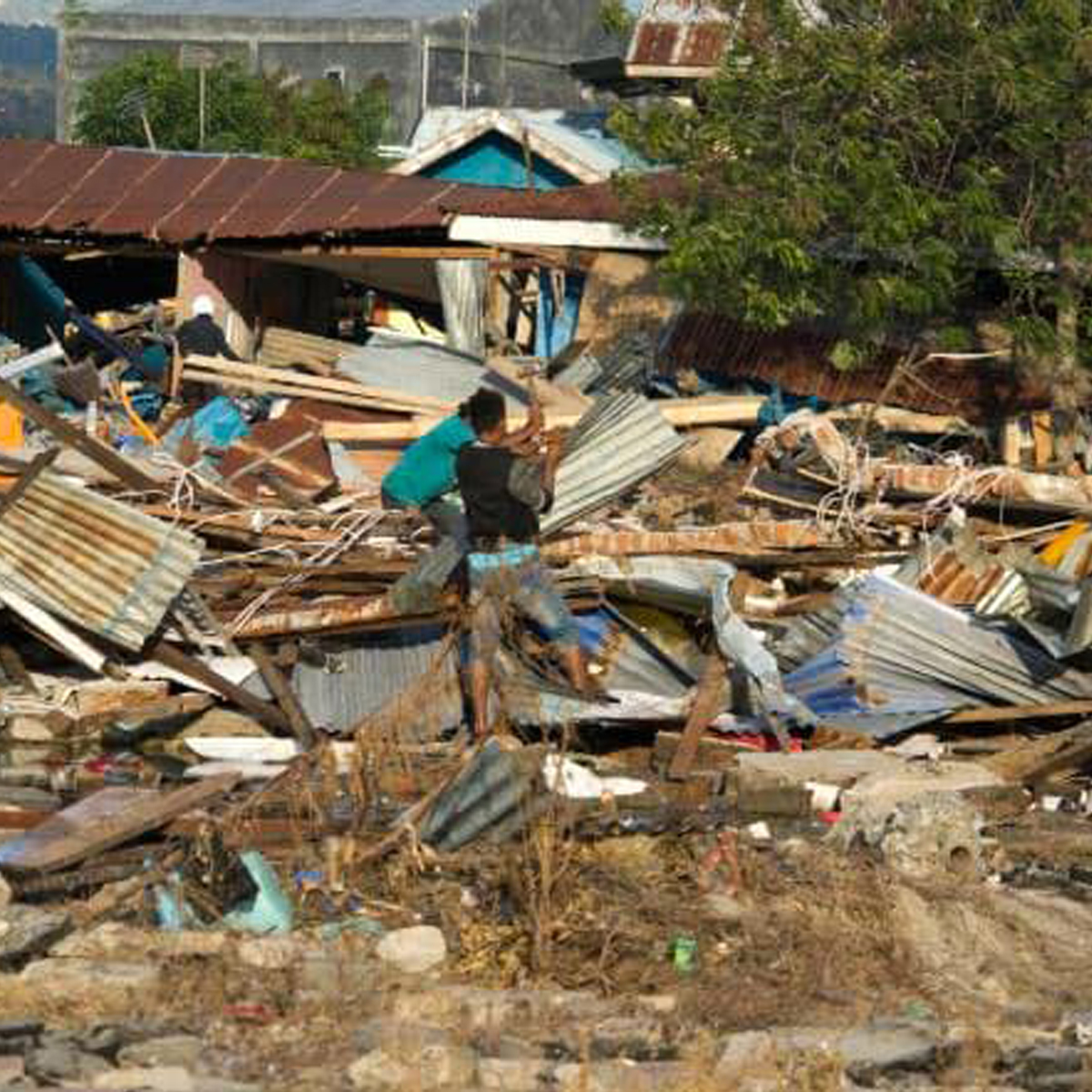 A survivor sifts through the wreckage of the tsunami in Indonesia.