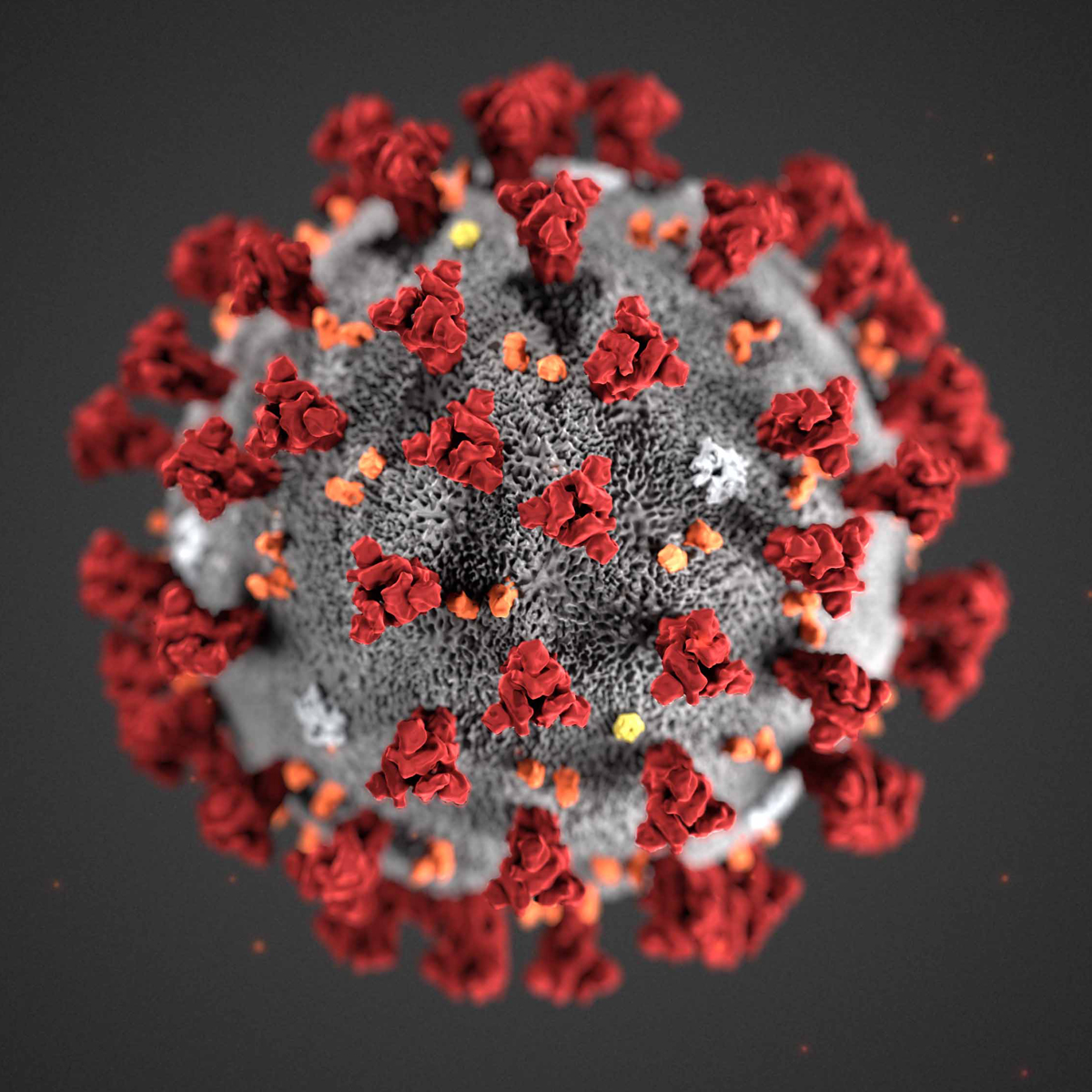 Coronavirus photo