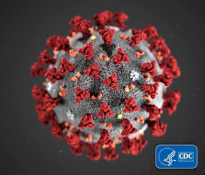 Coronavirus Operation Blessing: Covid-19 model from the CDC