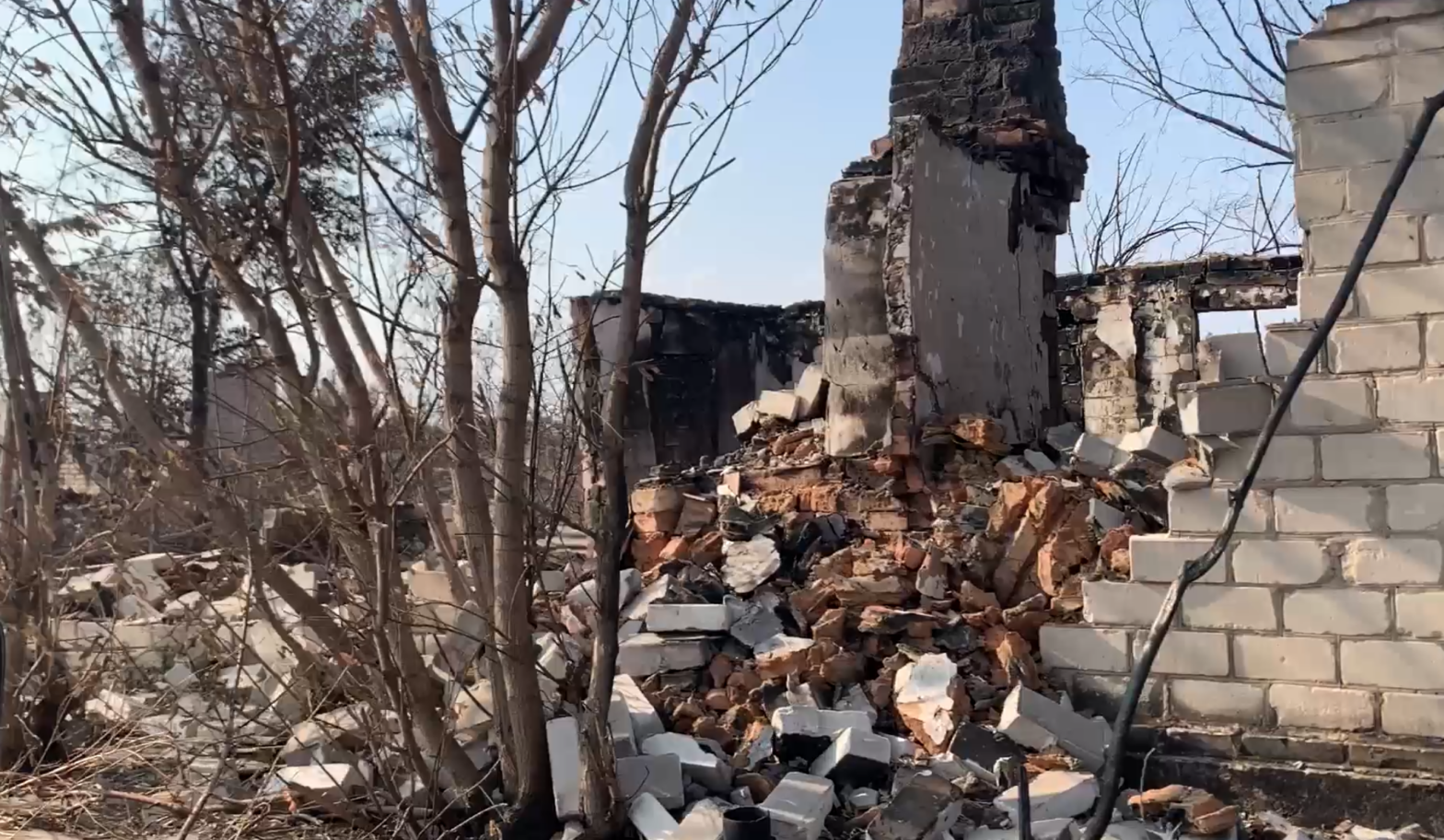 forest fires in ukraine