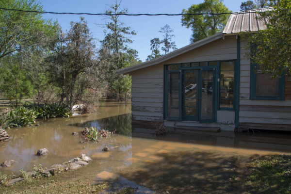 Coastal Flooding Questions