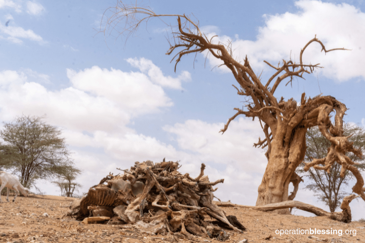 bad-kenya-drought
