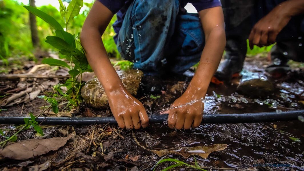 spring water catchment system