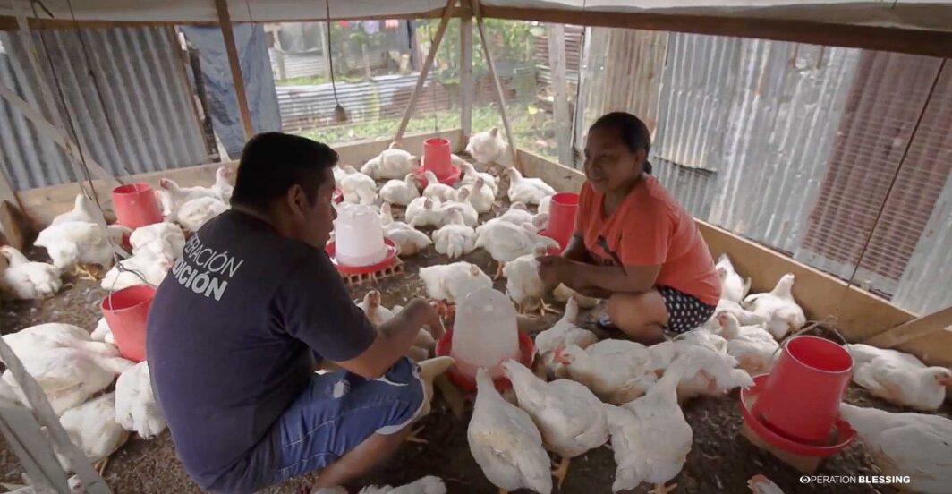 job training in peru to fight hunger