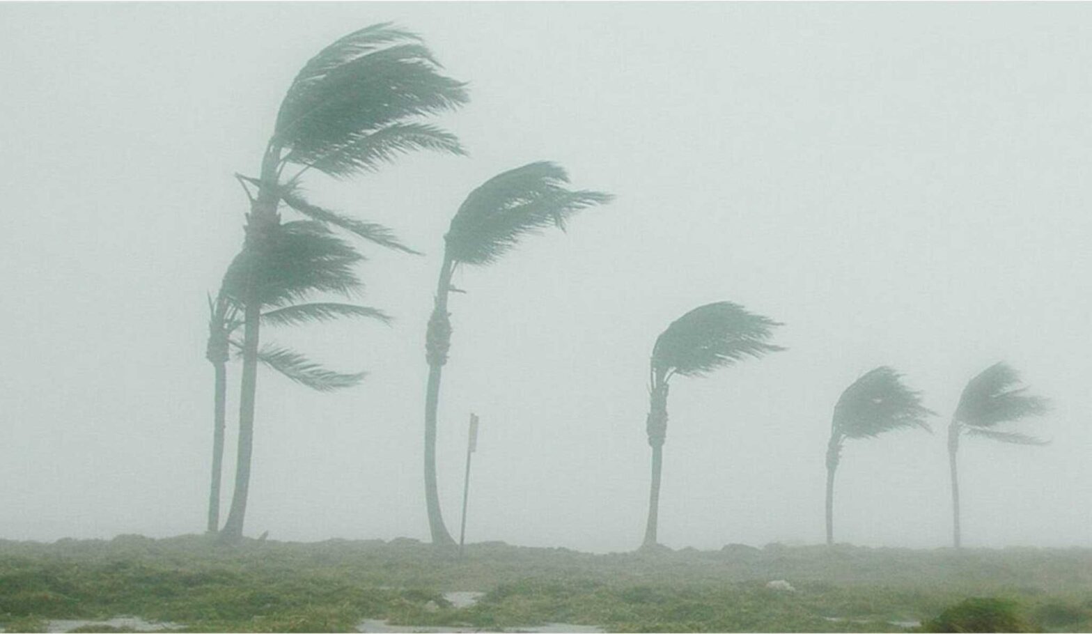 relief from hurricane idalia