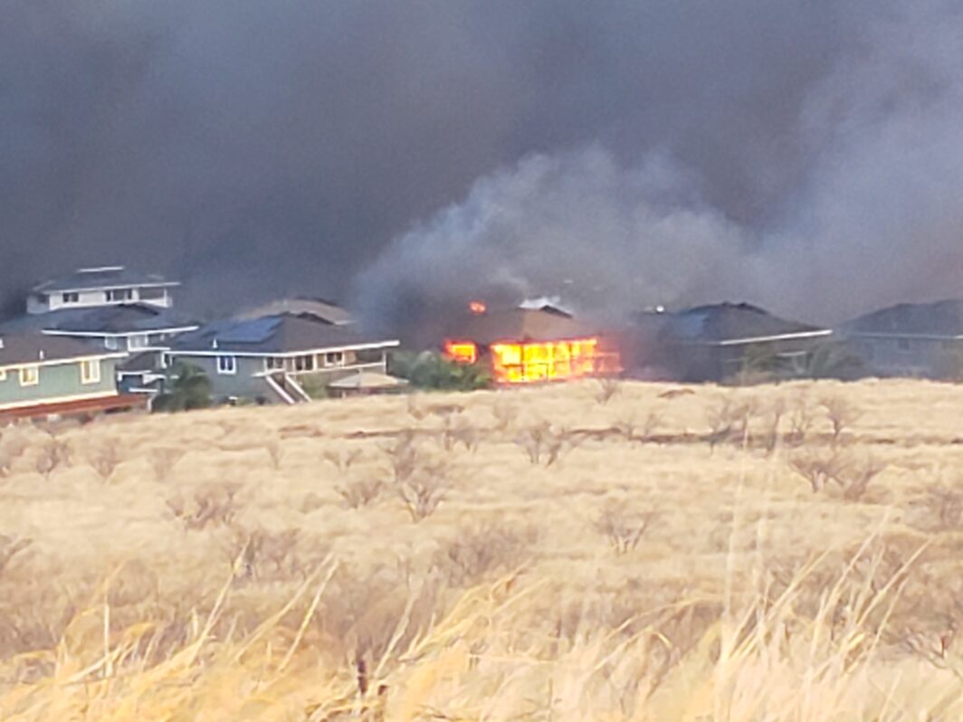 wildfire-recovery-efforts-lahaina