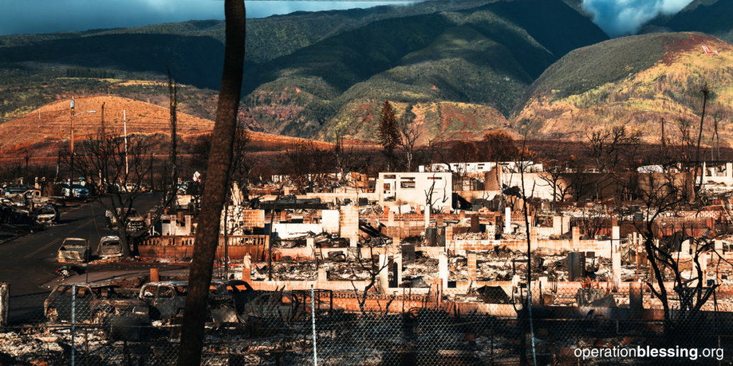 Maui Wildfire Recovery Efforts