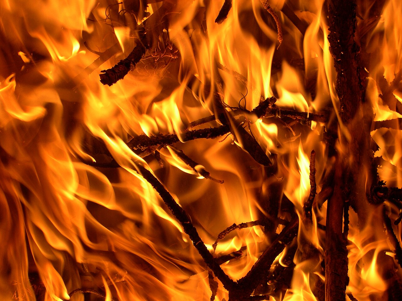 Texas wildfires ravage huge area