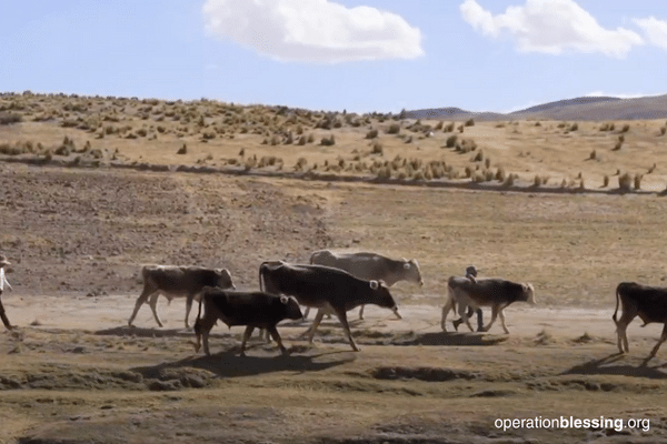 water scarcity Peru