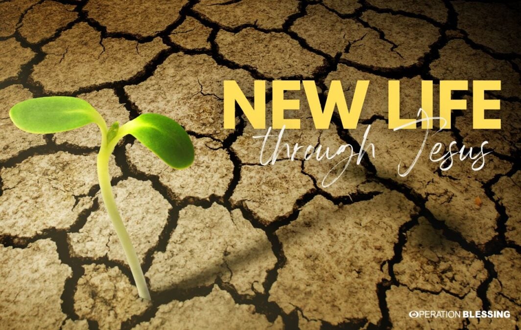 New Life through Jesus