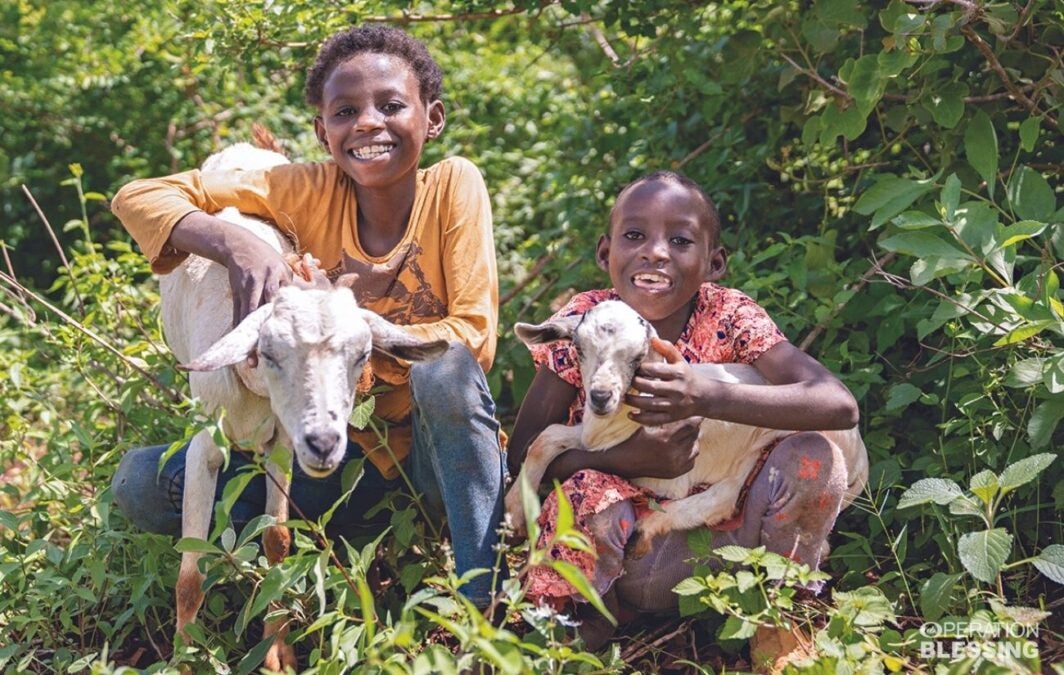 goat-rearing-project