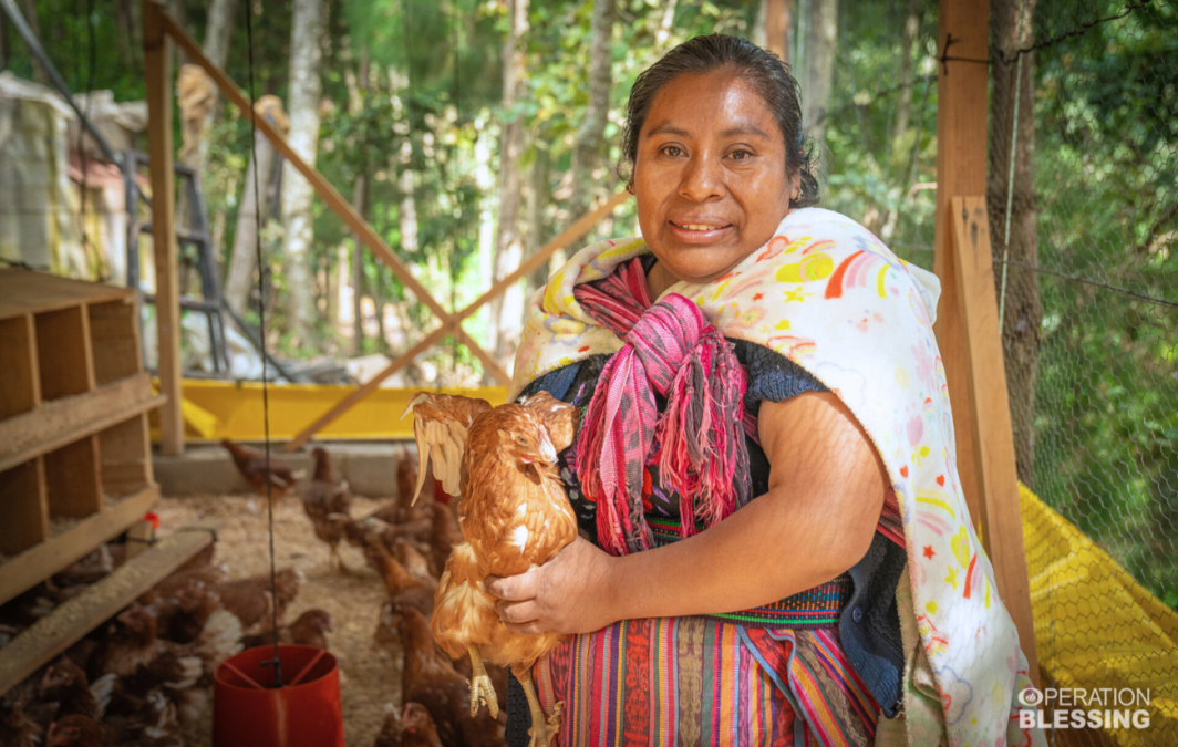 chicken farm in Guatemala