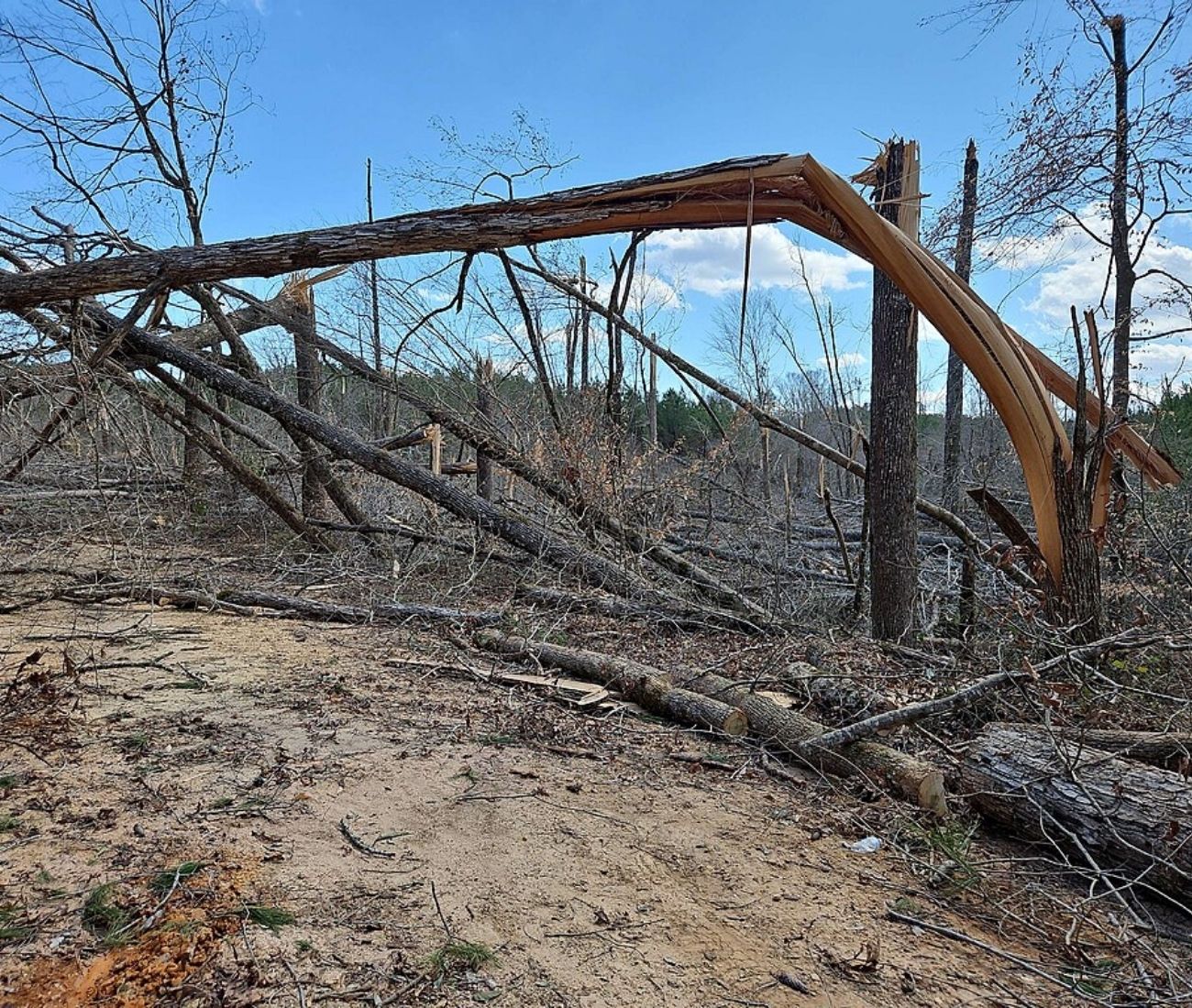 Essential Tornado Safety Tips