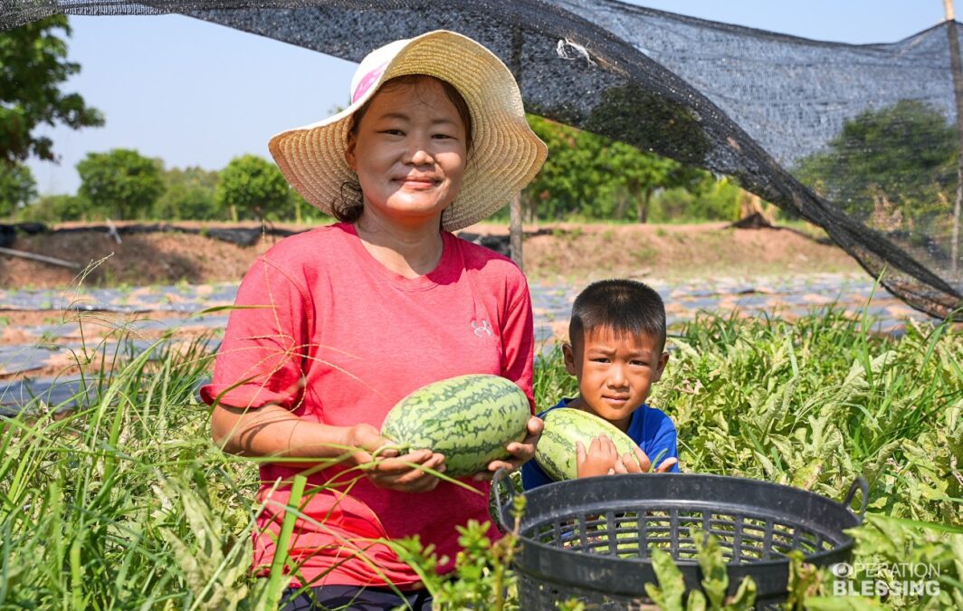 harvest of hope in Thailand