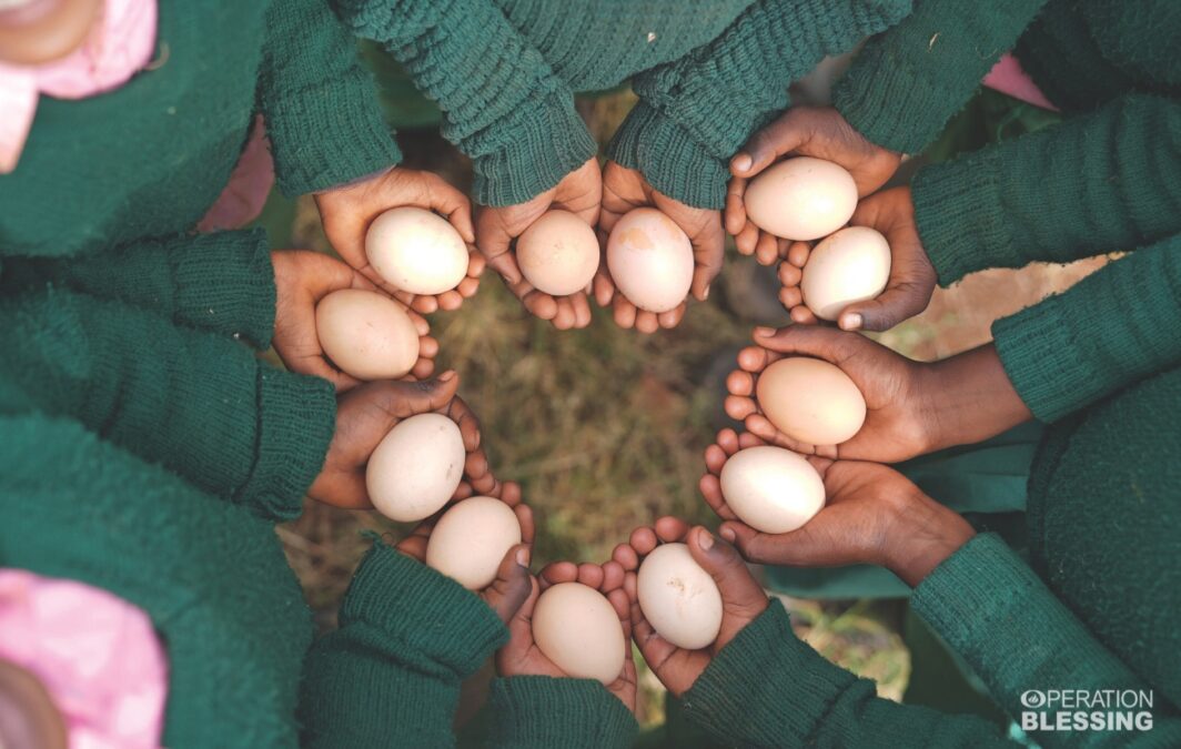 poultry farm