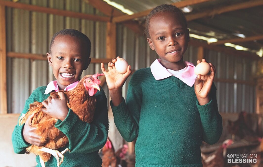 poultry program and farm microenterprise